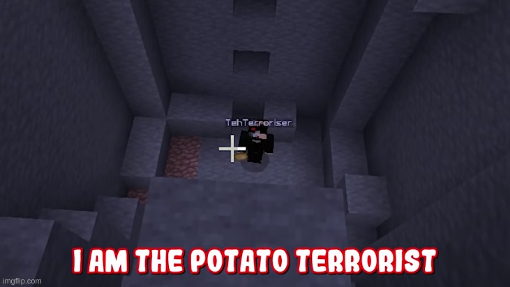 Terroriser I'm the potato terrorist | image tagged in terroriser i'm the potato terrorist | made w/ Imgflip meme maker
