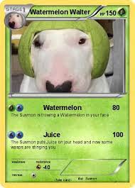 High Quality watermelon walter Blank Meme Template
