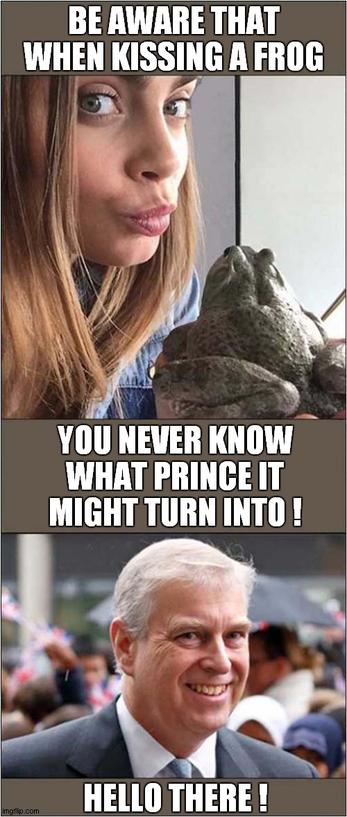 Be Careful What You Was For ! | BE AWARE THAT WHEN KISSING A FROG; YOU NEVER KNOW WHAT PRINCE IT MIGHT TURN INTO ! HELLO THERE ! | image tagged in be afraid,kissing,frogs,prince andrew,dark humour | made w/ Imgflip meme maker