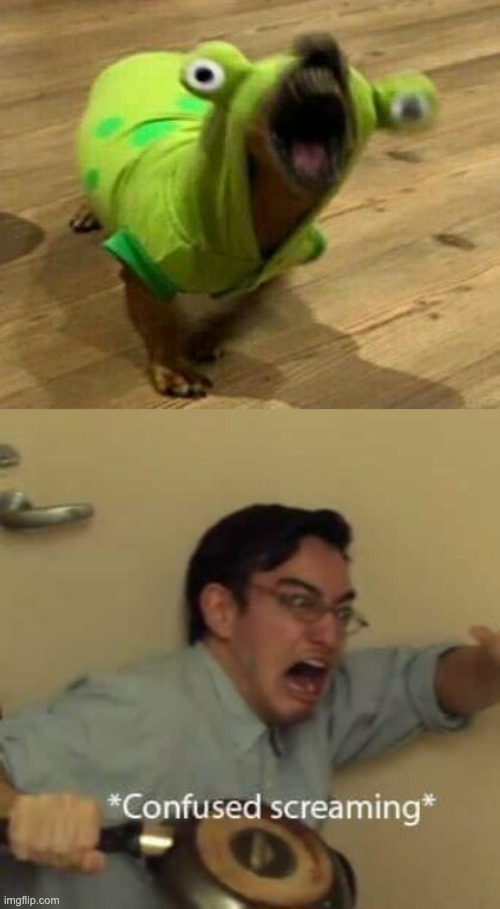 aaahhhhh | image tagged in filthy frank confused scream,memes,unfunny | made w/ Imgflip meme maker
