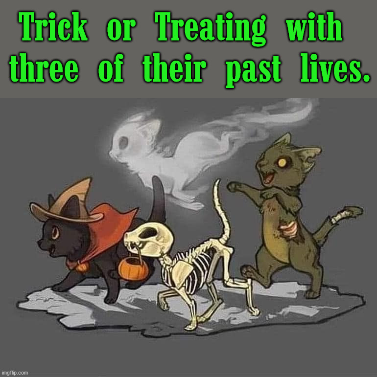 Trick or Treating with 
three of their past lives. | image tagged in comics/cartoons | made w/ Imgflip meme maker
