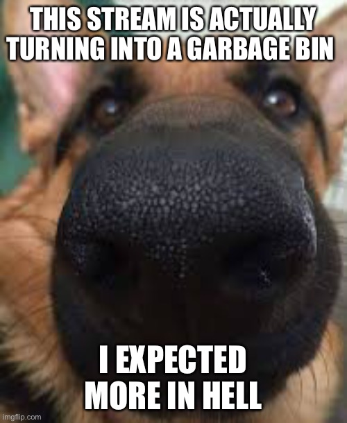 German shepherd but funni | THIS STREAM IS ACTUALLY TURNING INTO A GARBAGE BIN; I EXPECTED MORE IN HELL | image tagged in german shepherd but funni | made w/ Imgflip meme maker