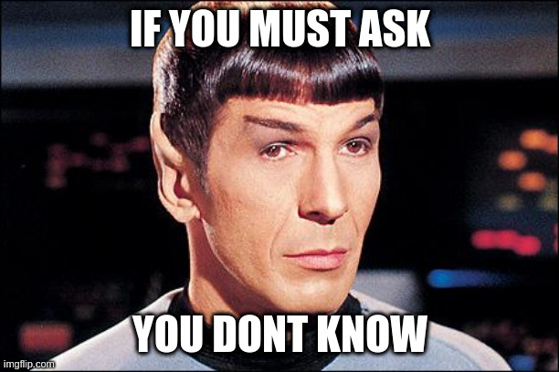 Condescending Spock | IF YOU MUST ASK; YOU DONT KNOW | image tagged in condescending spock | made w/ Imgflip meme maker