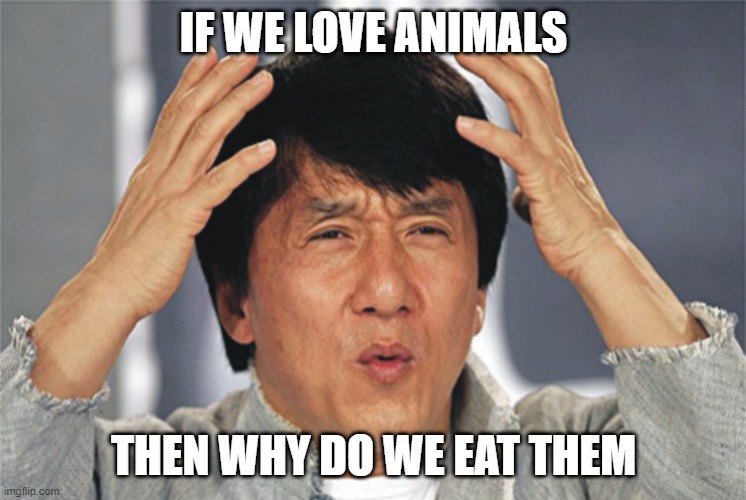 CONFUSION | IF WE LOVE ANIMALS; THEN WHY DO WE EAT THEM | image tagged in jackie chan confused | made w/ Imgflip meme maker