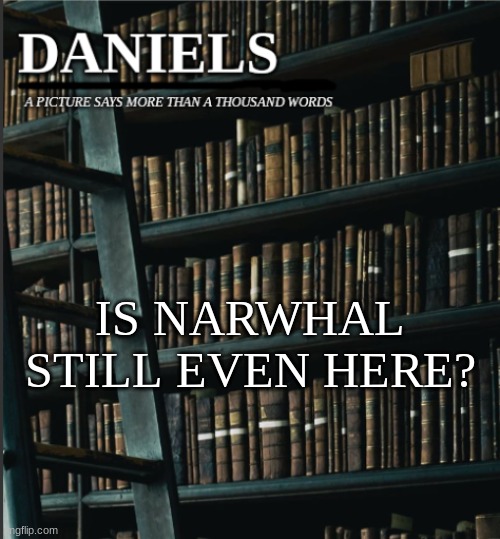 daniels book temp | IS NARWHAL STILL EVEN HERE? | image tagged in daniels book temp | made w/ Imgflip meme maker