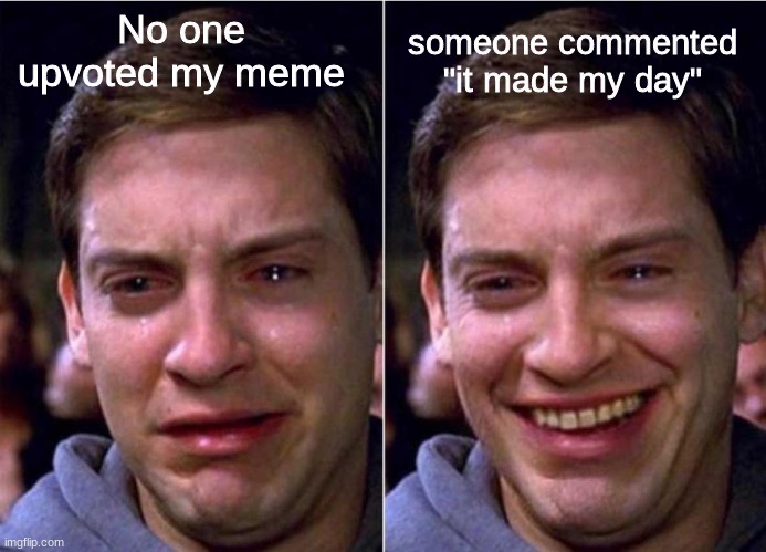 who agrees? |  No one upvoted my meme; someone commented "it made my day" | image tagged in peter parker sad cry happy cry | made w/ Imgflip meme maker