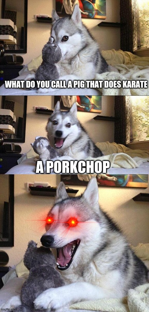 Bad pun dog | WHAT DO YOU CALL A PIG THAT DOES KARATE; A PORKCHOP | image tagged in bad pun dog,pig,karate,jokes,why are you reading this | made w/ Imgflip meme maker