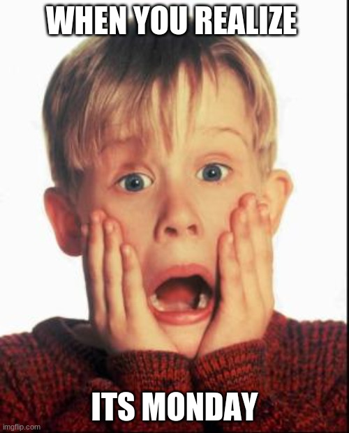 Home Alone Kid  | WHEN YOU REALIZE; ITS MONDAY | image tagged in home alone kid | made w/ Imgflip meme maker