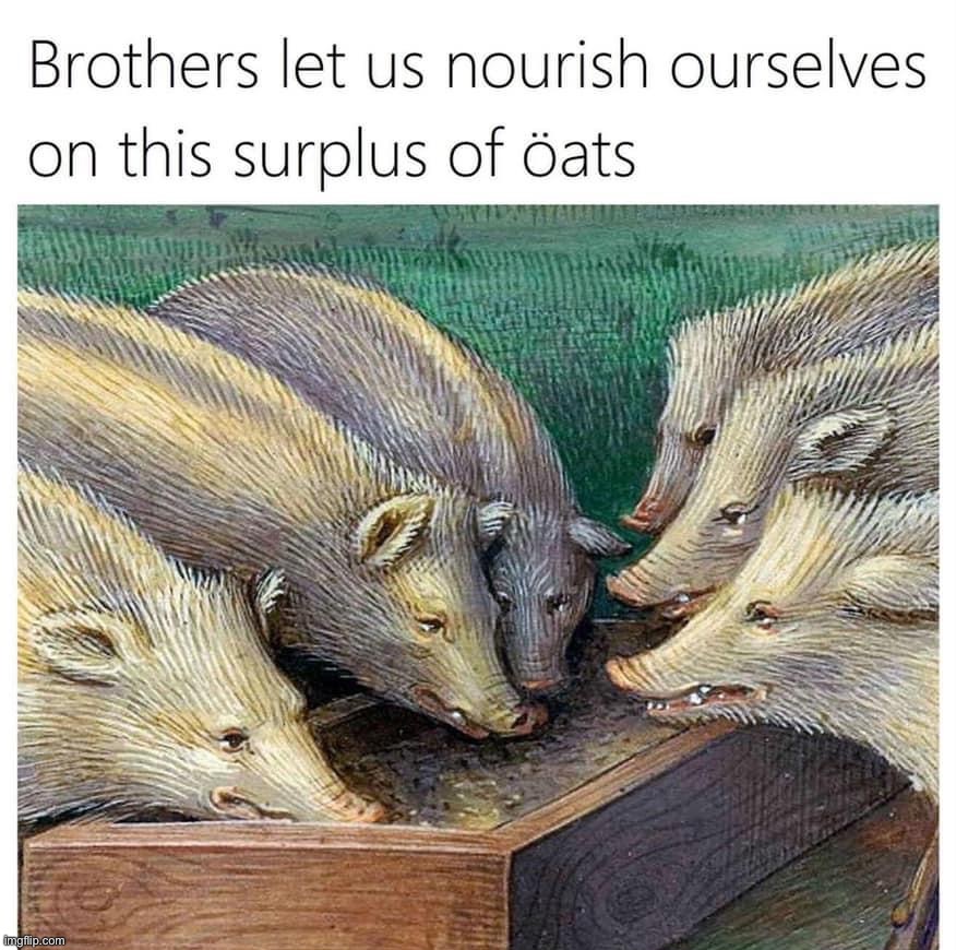 Surplus of oats | image tagged in surplus of oats | made w/ Imgflip meme maker