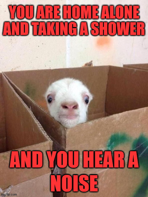 Hate when that happens. |  YOU ARE HOME ALONE AND TAKING A SHOWER; AND YOU HEAR A; NOISE | image tagged in hearing,noise,scared,shower | made w/ Imgflip meme maker