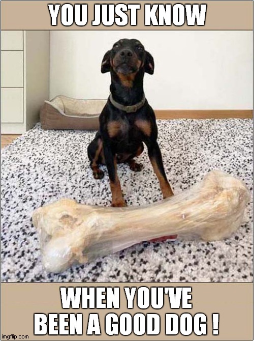 A Mammoth Treat ! | YOU JUST KNOW; WHEN YOU'VE BEEN A GOOD DOG ! | image tagged in dogs,treats,bone | made w/ Imgflip meme maker