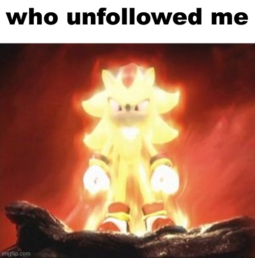 Super Shadow | who unfollowed me | image tagged in super shadow | made w/ Imgflip meme maker