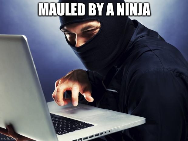 Ninja | MAULED BY A NINJA | image tagged in ninja | made w/ Imgflip meme maker