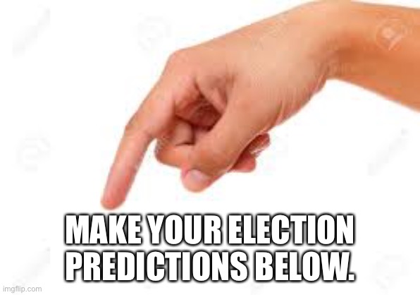 And Sloth, the Libertarian Alliance isn’t a merger. Jemy and SuGaS are running with Nerd. | MAKE YOUR ELECTION PREDICTIONS BELOW. | image tagged in the person below | made w/ Imgflip meme maker