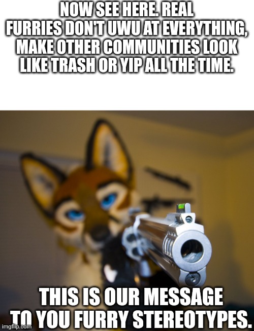 Furry with gun | NOW SEE HERE. REAL FURRIES DON'T UWU AT EVERYTHING, MAKE OTHER COMMUNITIES LOOK LIKE TRASH OR YIP ALL THE TIME. THIS IS OUR MESSAGE TO YOU FURRY STEREOTYPES. | image tagged in furry with gun | made w/ Imgflip meme maker