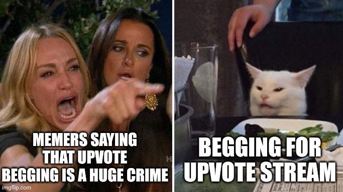 Yes it's a stream. Go check it out. | MEMERS SAYING THAT UPVOTE BEGGING IS A HUGE CRIME; BEGGING FOR UPVOTE STREAM | image tagged in angry lady cat | made w/ Imgflip meme maker