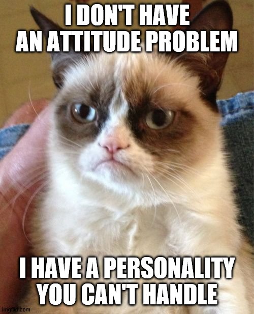 Attitude problem | I DON'T HAVE AN ATTITUDE PROBLEM; I HAVE A PERSONALITY YOU CAN'T HANDLE | image tagged in memes,grumpy cat | made w/ Imgflip meme maker