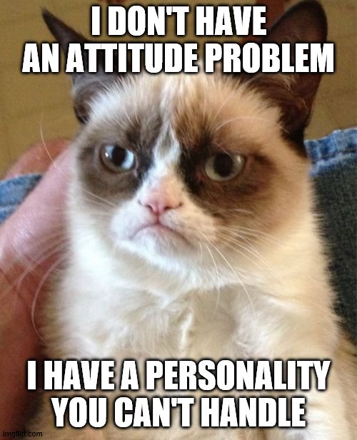 Have An Attitude Problem Meaning