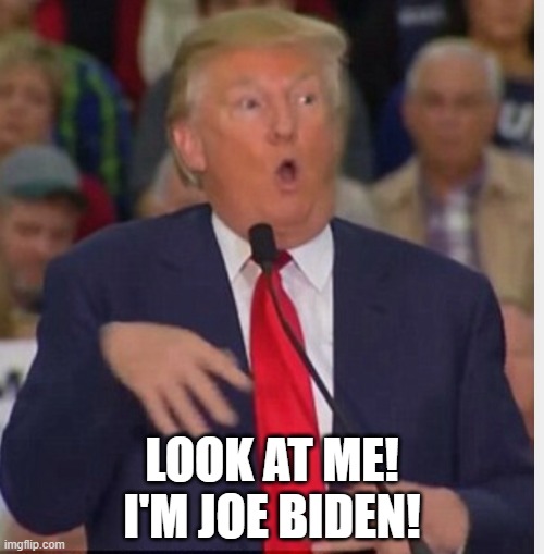 Duh, I'm Joe Biden! | LOOK AT ME!
I'M JOE BIDEN! | image tagged in donald trump,joe biden,memes | made w/ Imgflip meme maker