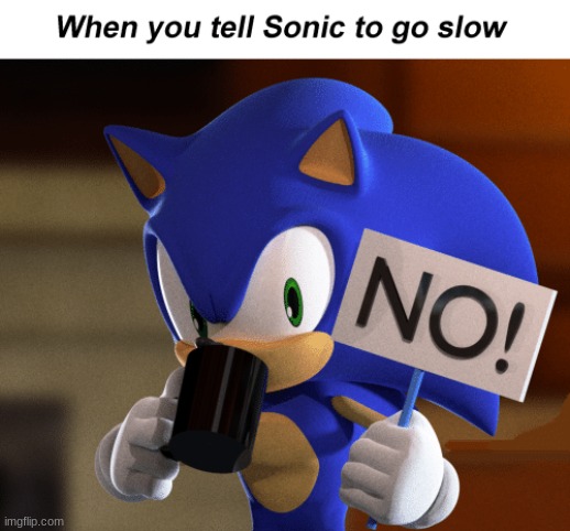 Not even the Police can make him go slow! | image tagged in its not going to happen,sonic | made w/ Imgflip meme maker