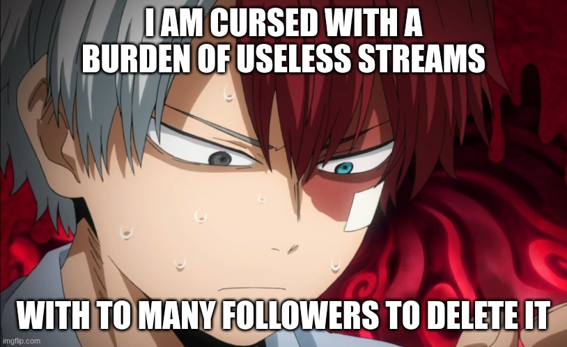 Todoroki Cursed | I AM CURSED WITH A BURDEN OF USELESS STREAMS; WITH TO MANY FOLLOWERS TO DELETE IT | image tagged in todoroki cursed | made w/ Imgflip meme maker