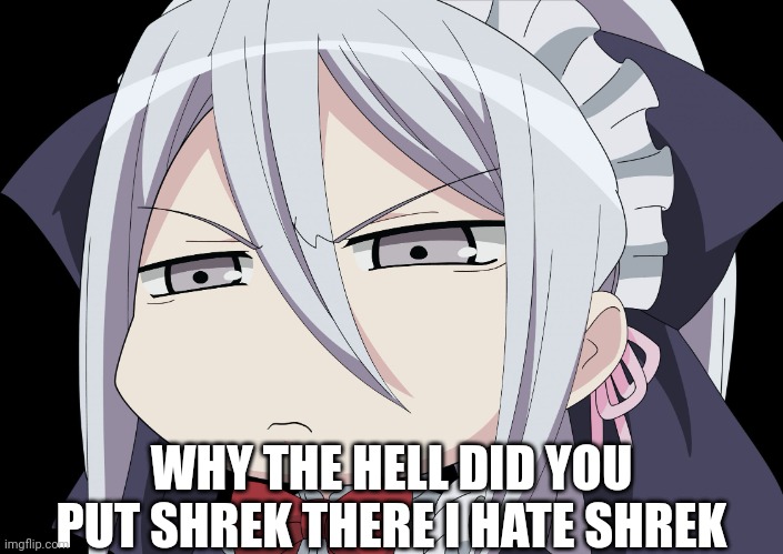 Anime Angry Face | WHY THE HELL DID YOU PUT SHREK THERE I HATE SHREK | image tagged in anime angry face | made w/ Imgflip meme maker