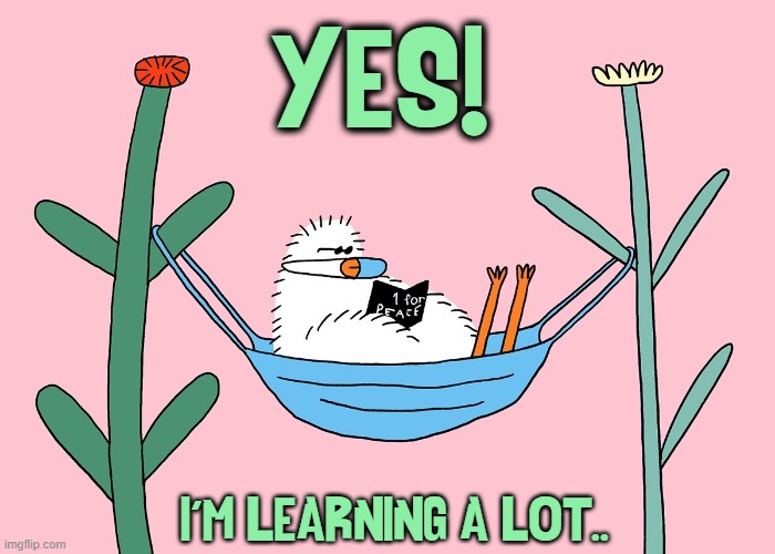 YES! I'M LEARNING A LOT.. | made w/ Imgflip meme maker