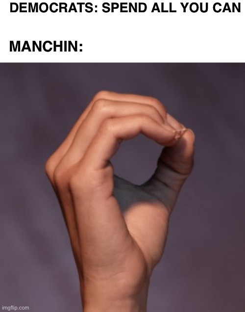 Joe Manchin to the Democrats | DEMOCRATS: SPEND ALL YOU CAN; MANCHIN: | image tagged in democrats,budget | made w/ Imgflip meme maker