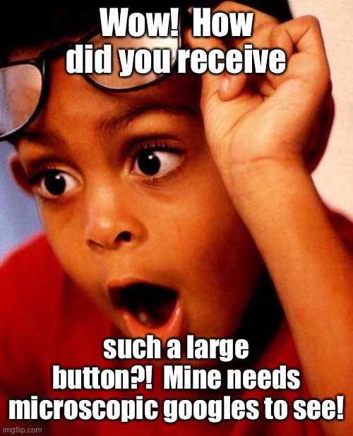 Wow | Wow!  How did you receive such a large button?!  Mine needs microscopic googles to see! | image tagged in wow | made w/ Imgflip meme maker