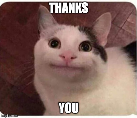 Polite Cat | THANKS YOU | image tagged in polite cat | made w/ Imgflip meme maker