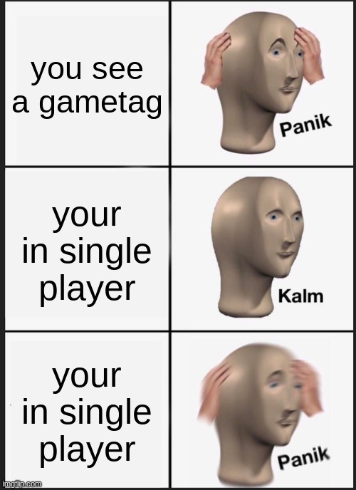 singleplayer | you see a gametag; your in single player; your in single player | image tagged in memes,panik kalm panik | made w/ Imgflip meme maker