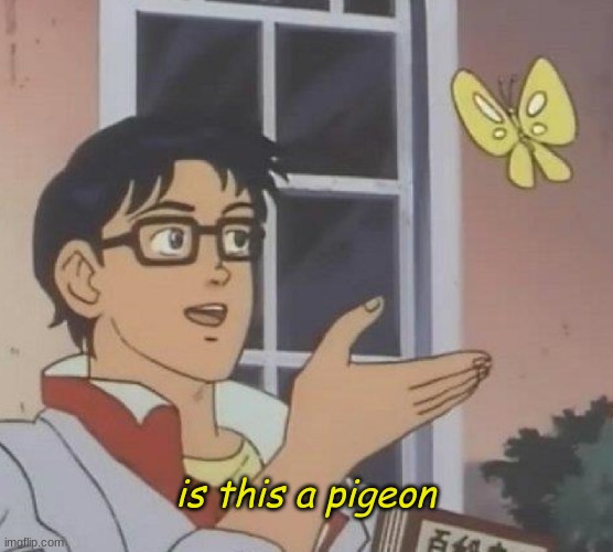 Look mom, i made a meme! | is this a pigeon | image tagged in memes,is this a pigeon | made w/ Imgflip meme maker