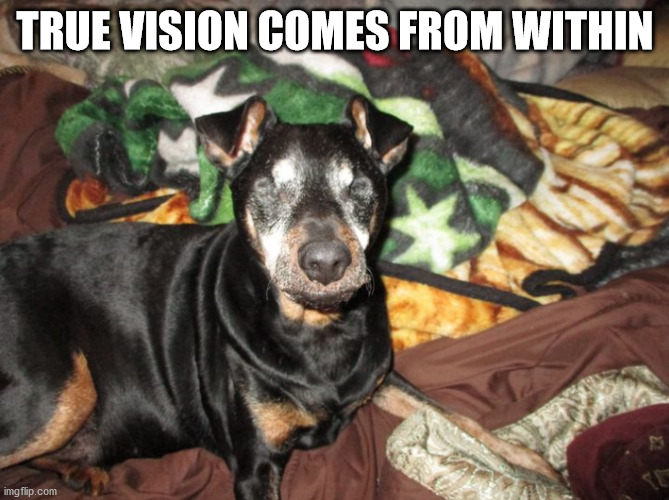 TRUE VISION COMES FROM WITHIN | image tagged in blind dog true vision | made w/ Imgflip meme maker