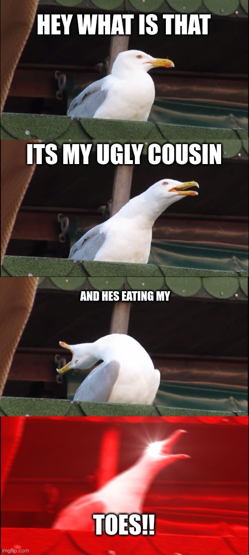 MY TOES!! | HEY WHAT IS THAT; ITS MY UGLY COUSIN; AND HES EATING MY; TOES!! | image tagged in memes,inhaling seagull | made w/ Imgflip meme maker