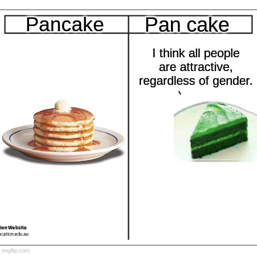 was that the right sexuality or did i mess up (no offense meant) | Pancake; Pan cake; I think all people are attractive, regardless of gender. | made w/ Imgflip meme maker
