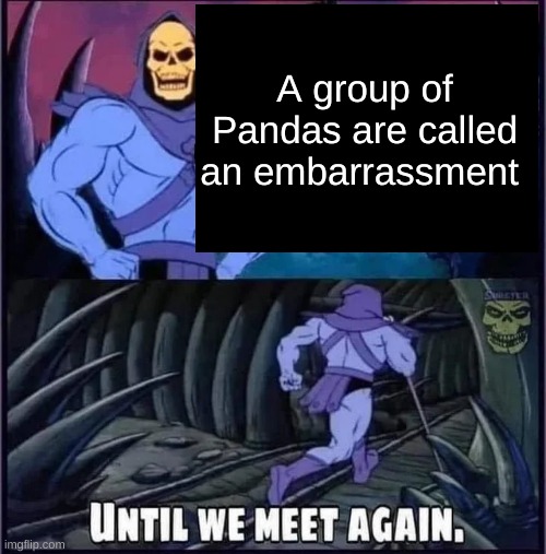 Until we meet again. |  A group of Pandas are called an embarrassment | image tagged in until we meet again | made w/ Imgflip meme maker