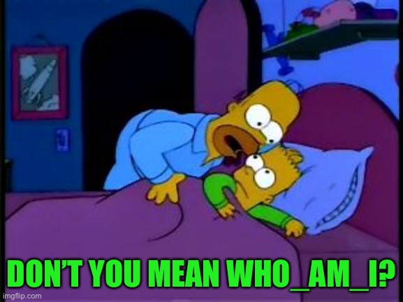 Homer Simpson I don't mean to alarm you | DON’T YOU MEAN WHO_AM_I? | image tagged in homer simpson i don't mean to alarm you | made w/ Imgflip meme maker