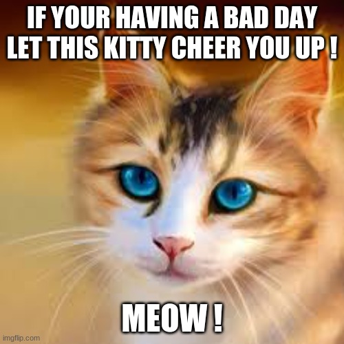 IF YOUR HAVING A BAD DAY LET THIS KITTY CHEER YOU UP ! MEOW ! | image tagged in lol | made w/ Imgflip meme maker