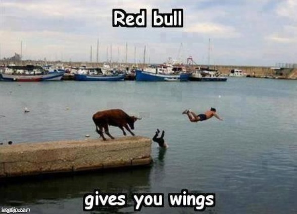red bull | image tagged in redbull,wings | made w/ Imgflip meme maker