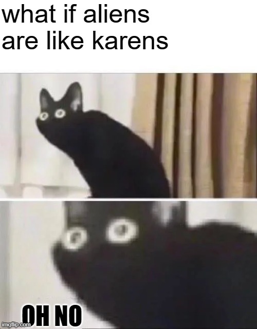 GOD NO!!!!!!! | what if aliens are like karens; OH NO | image tagged in oh no black cat,aliens,karen | made w/ Imgflip meme maker