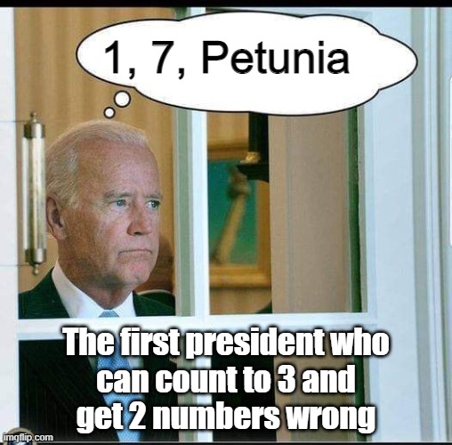 1, 7, Petunia; The first president who
can count to 3 and
get 2 numbers wrong | made w/ Imgflip meme maker