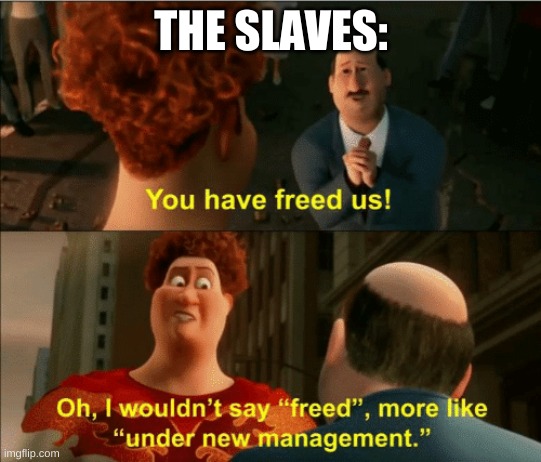 yes | THE SLAVES: | image tagged in i wouldnit say freed | made w/ Imgflip meme maker