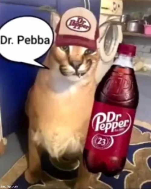 dr pebba | made w/ Imgflip meme maker