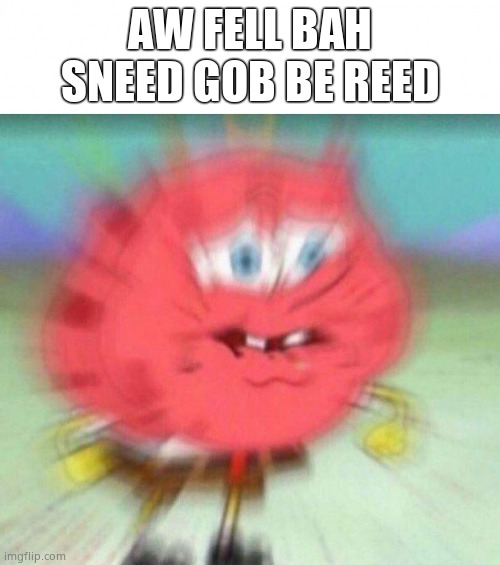 Angry Spongebob | AW FELL BAH SNEED GOB BE REED | image tagged in angry spongebob | made w/ Imgflip meme maker