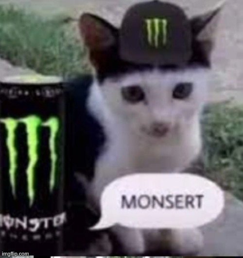 MONSERT | made w/ Imgflip meme maker