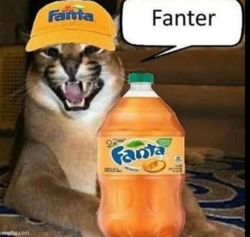 FANTER | made w/ Imgflip meme maker