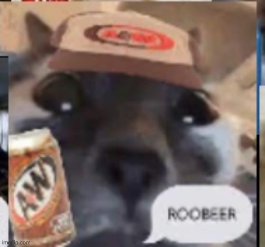ROOBERR | made w/ Imgflip meme maker