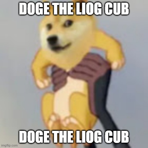 doge the liog cub ( liog - lion and dog - liog | DOGE THE LIOG CUB; DOGE THE LIOG CUB | image tagged in doge,lion | made w/ Imgflip meme maker