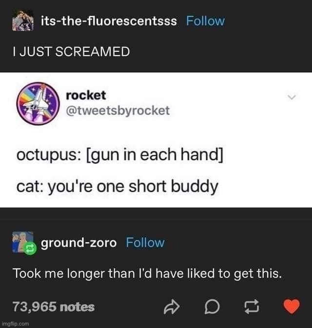 Octopus gun | image tagged in octopus gun | made w/ Imgflip meme maker