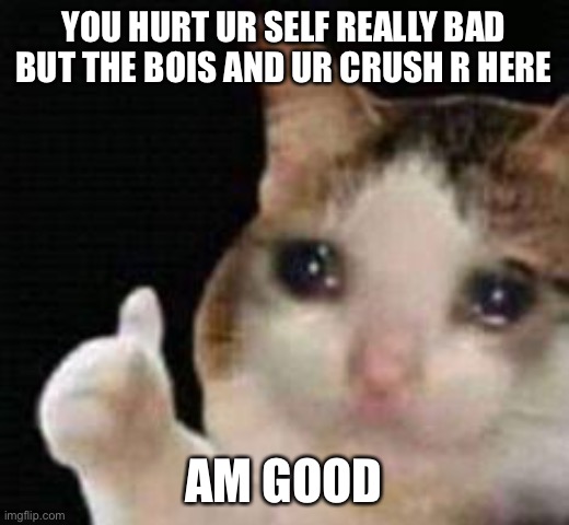 Approved crying cat | YOU HURT UR SELF REALLY BAD BUT THE BOIS AND UR CRUSH R HERE; AM GOOD | image tagged in approved crying cat | made w/ Imgflip meme maker